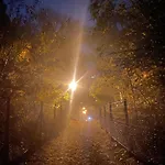 Zurawi Brzeg Daire Gdansk