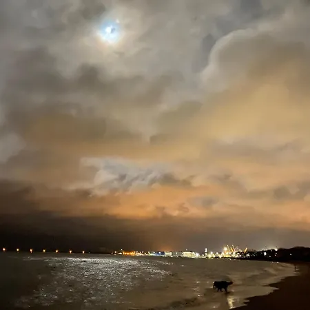 Zurawi Brzeg アパート *