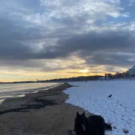 Zurawi Brzeg アパート