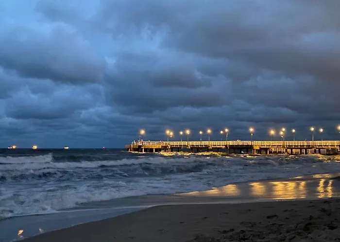 Zurawi Brzeg Gdańsk