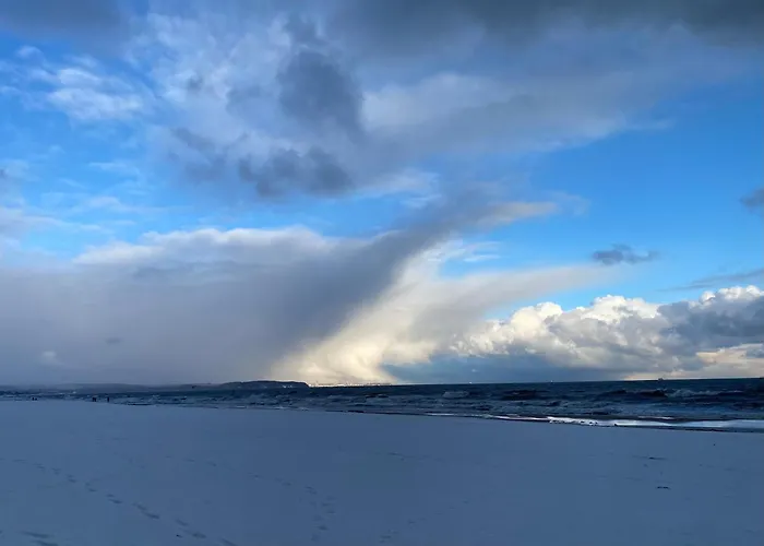 Zurawi Brzeg * Гданьск