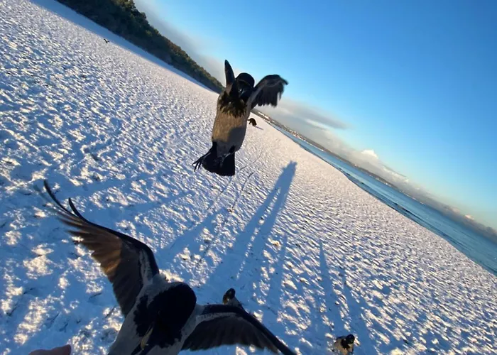 Lägenhet Zurawi Brzeg