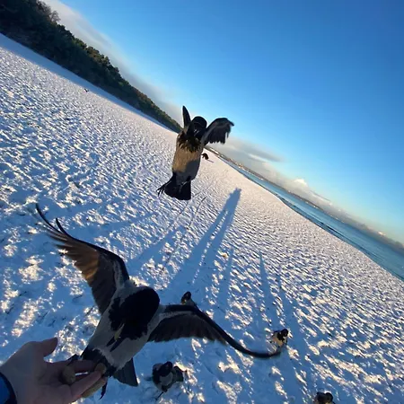 Διαμέρισμα Zurawi Brzeg